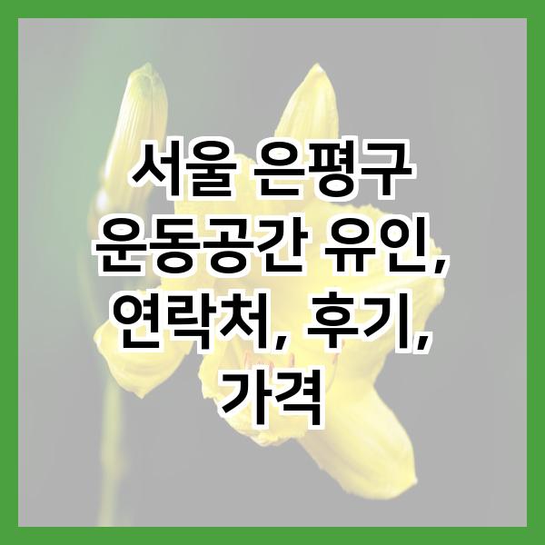 운동공간;유인 이미지
