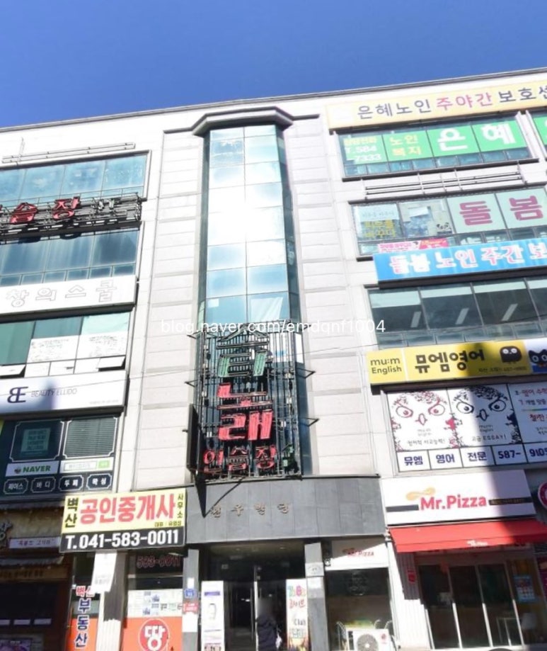 뷰티엘리도 이미지