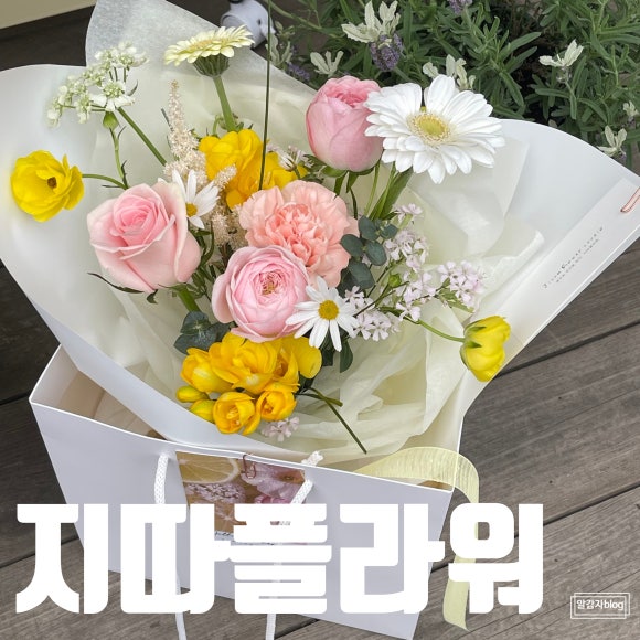 지따플라워 이미지