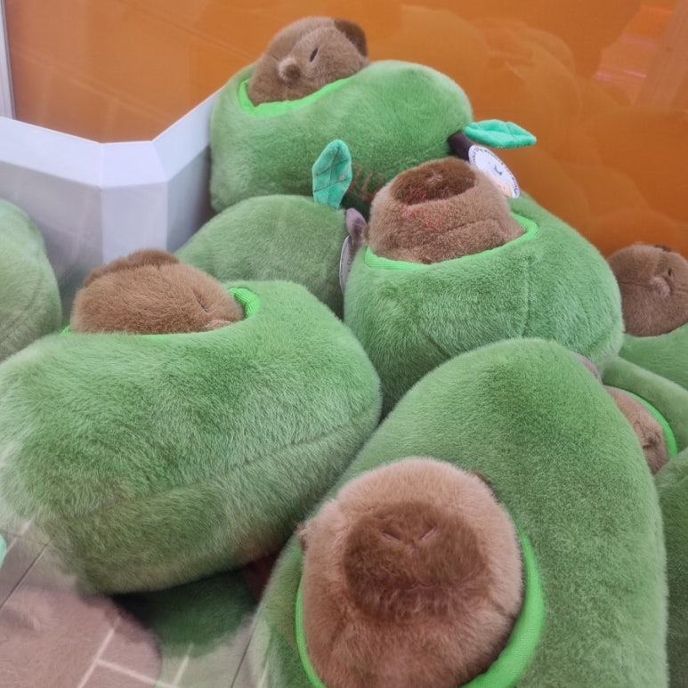 쥬쥬오락실 이미지