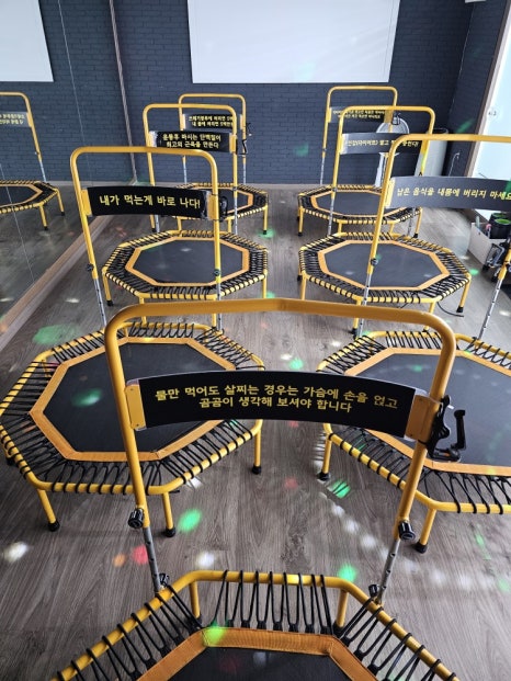 점핑넘버원 이미지