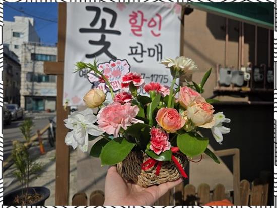 안나플라워 이미지