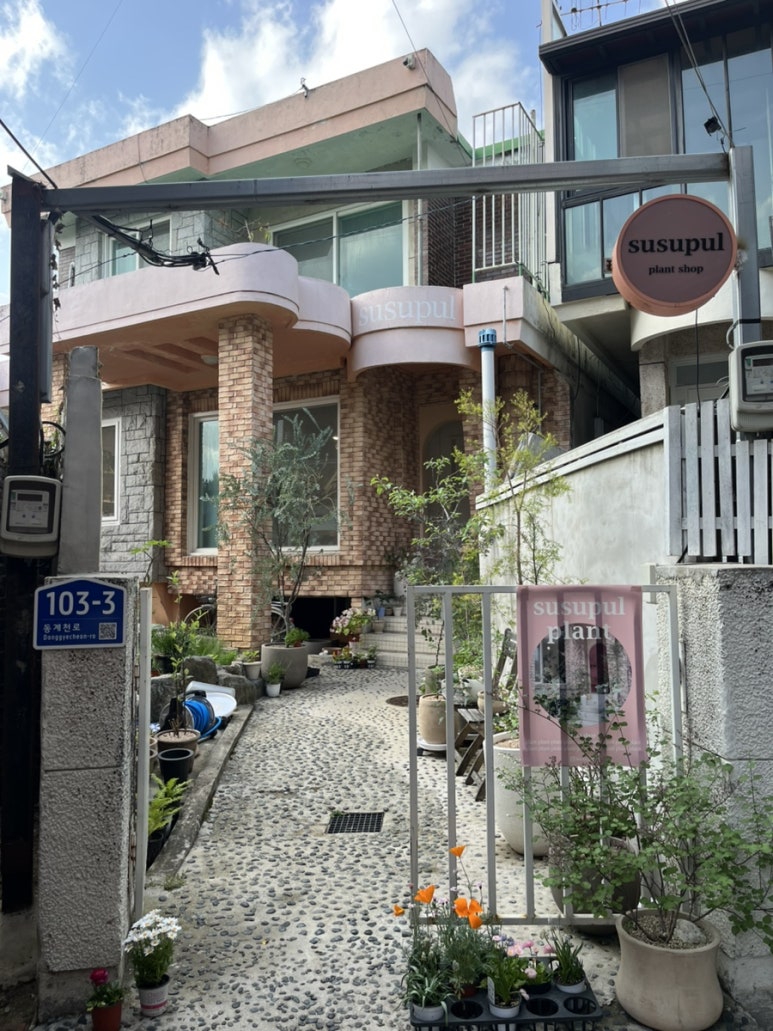 수수풀 이미지