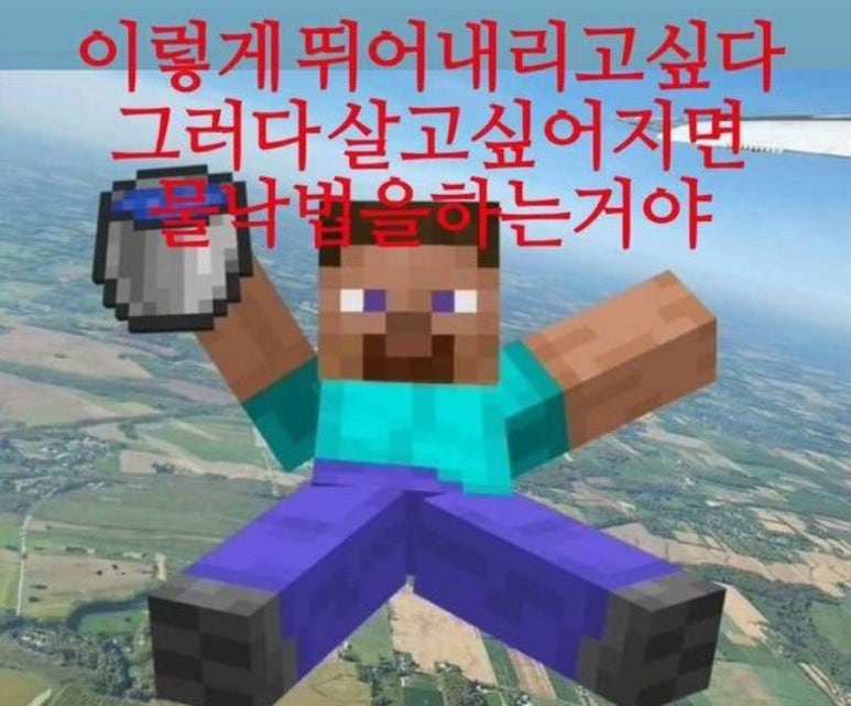서롤 이미지