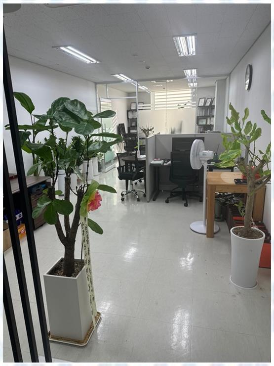 삼성세무회계 이미지