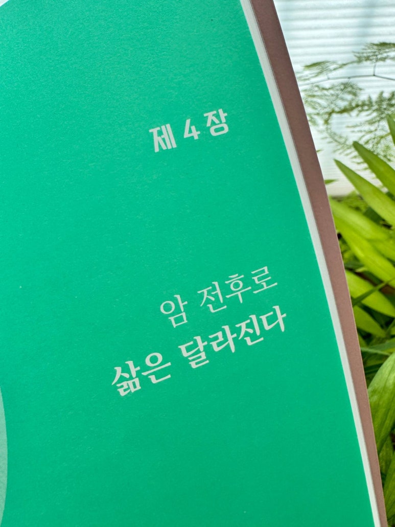 아미서가 이미지