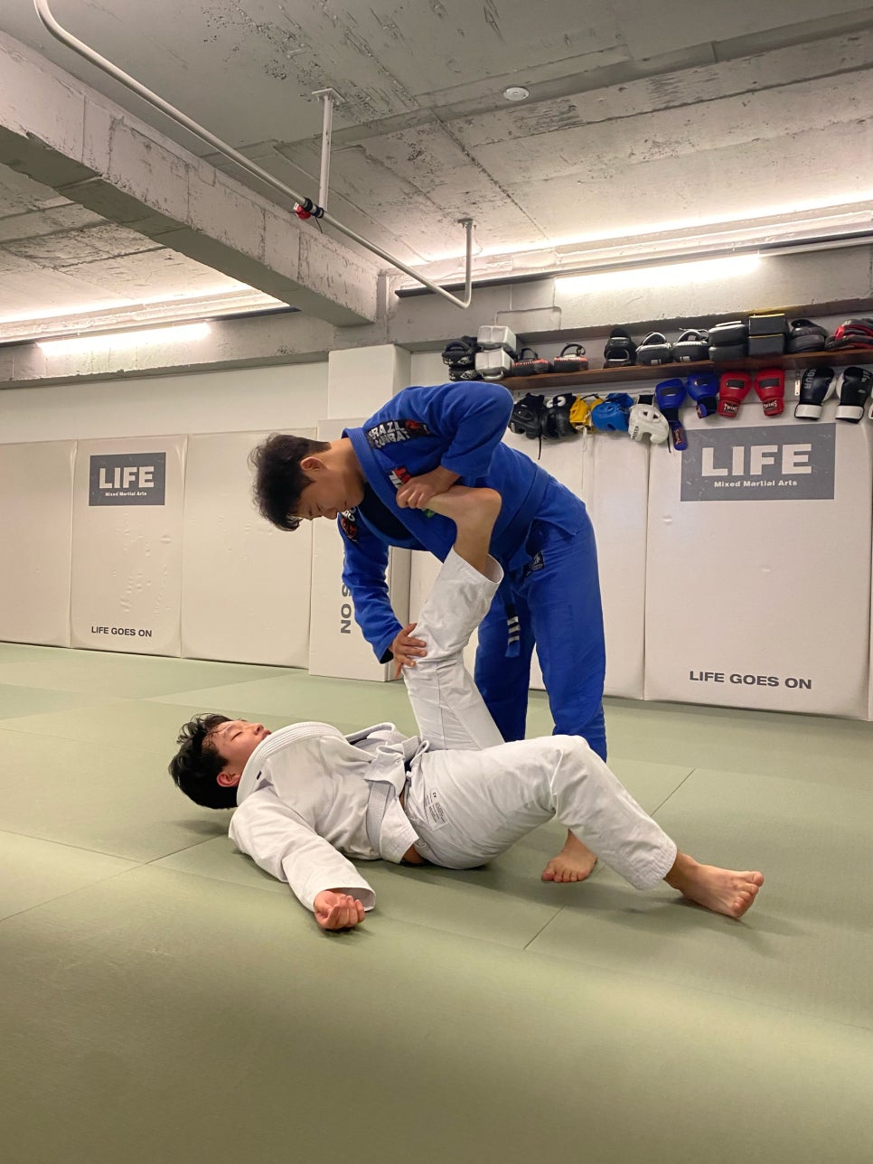 라이프짐MMA 이미지