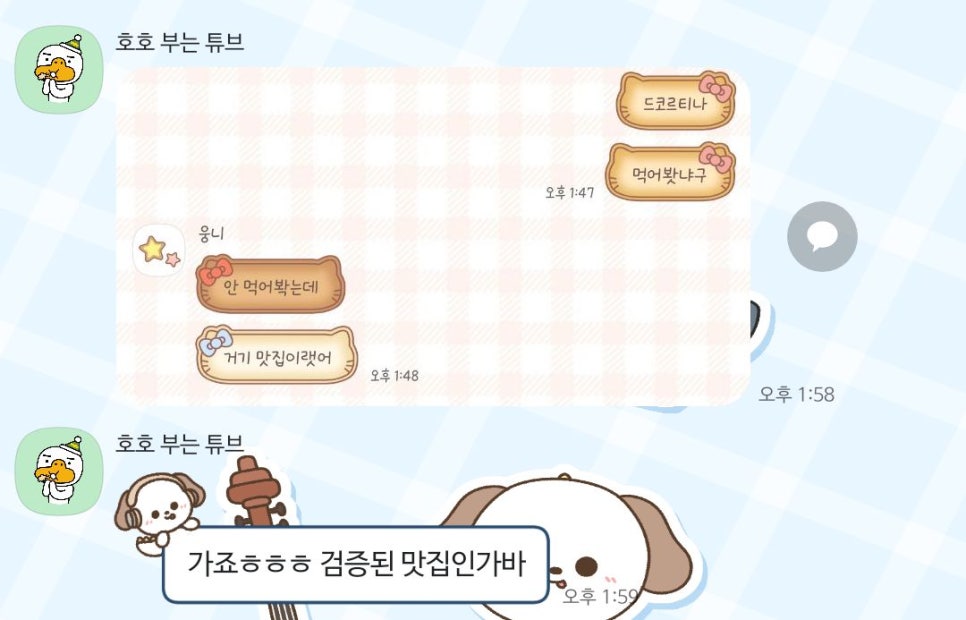 드코르티나 이미지