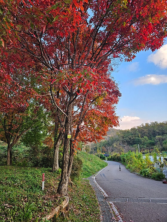 안터 이미지