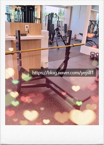 원더플레이스경기 이미지