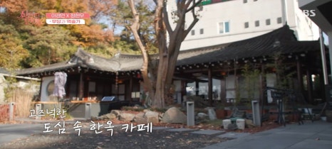 밈카페 이미지