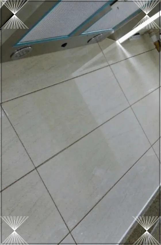 미스터류 이미지