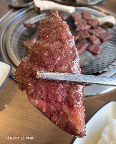 고굽진 이미지