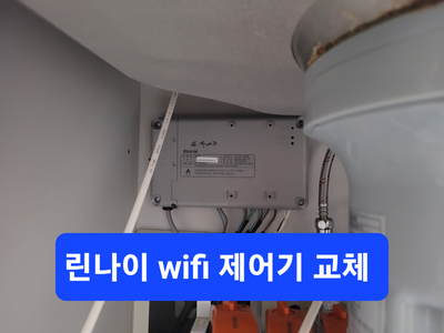 피닉스시스템 이미지