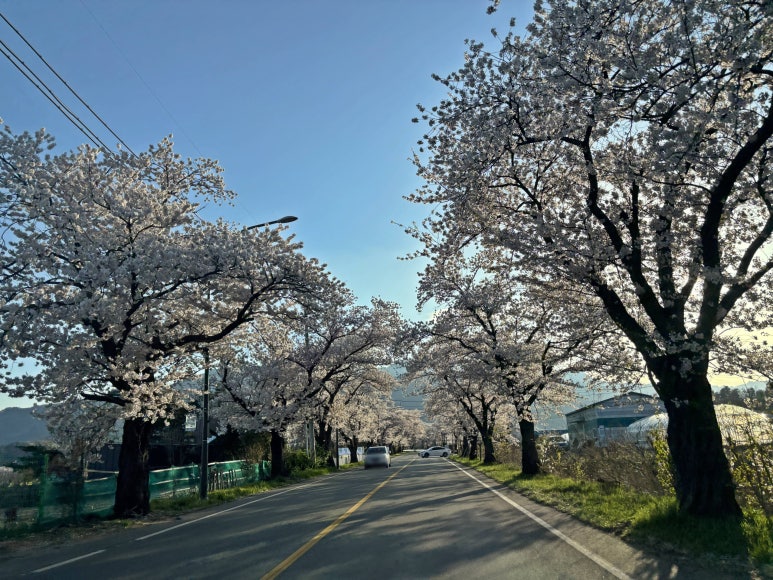 사랑방 꽃게장 이미지