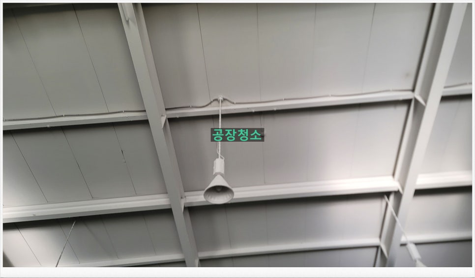 영토탈 이미지