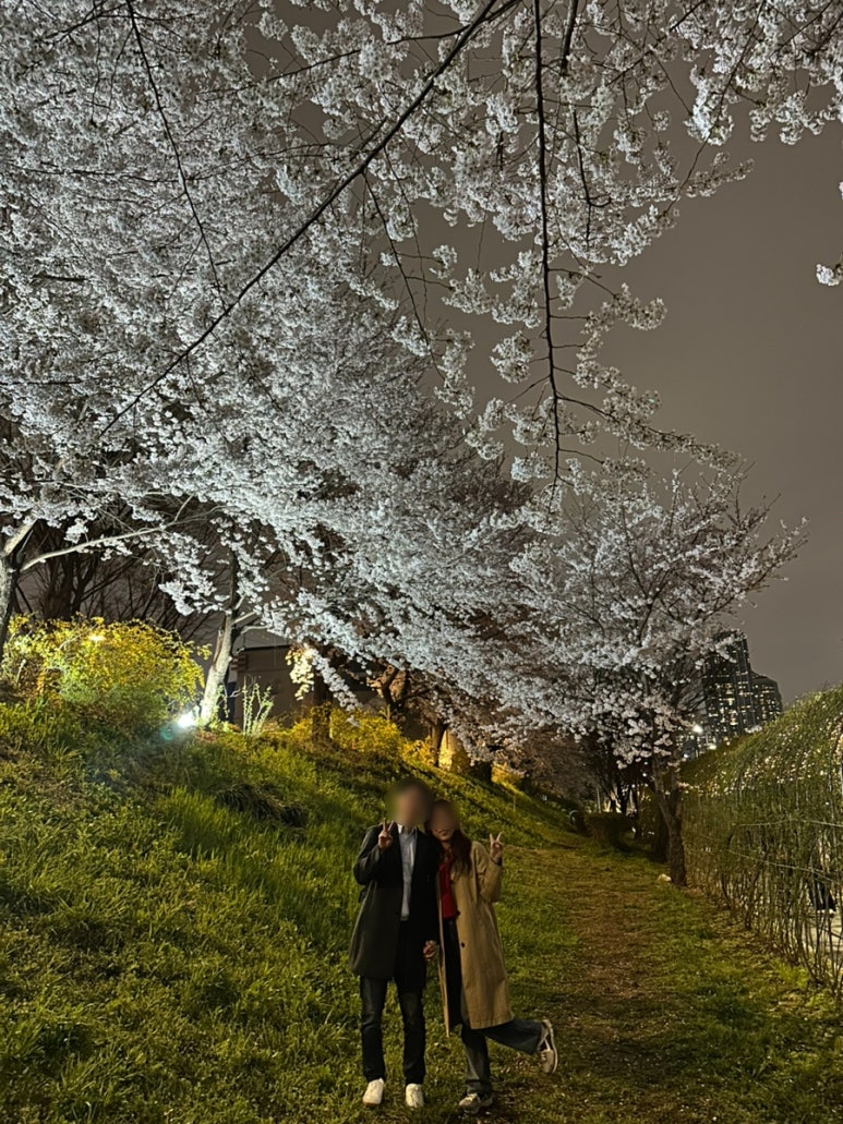 퀸즈블러바드&미국식 이미지