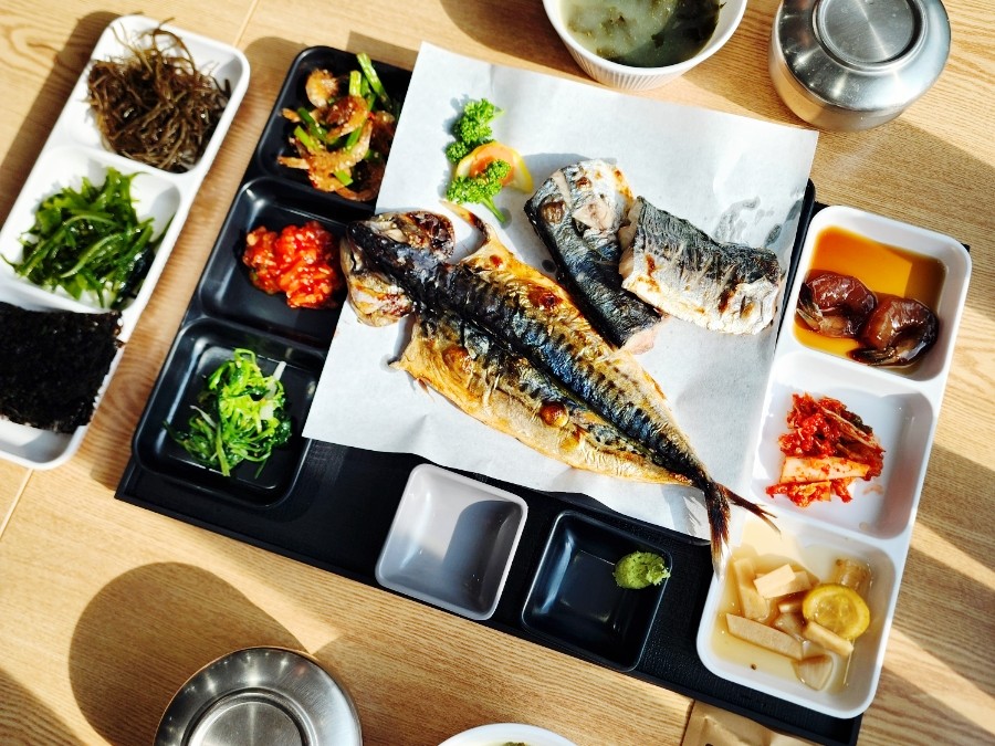 바닿 사진 5