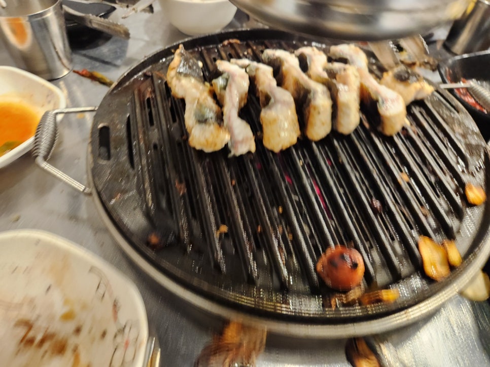 처음본명품민물장어 이미지