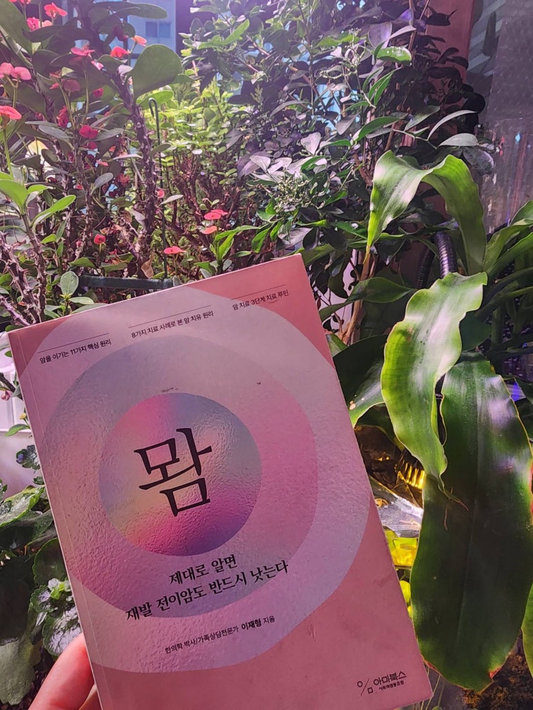 아미서가 이미지
