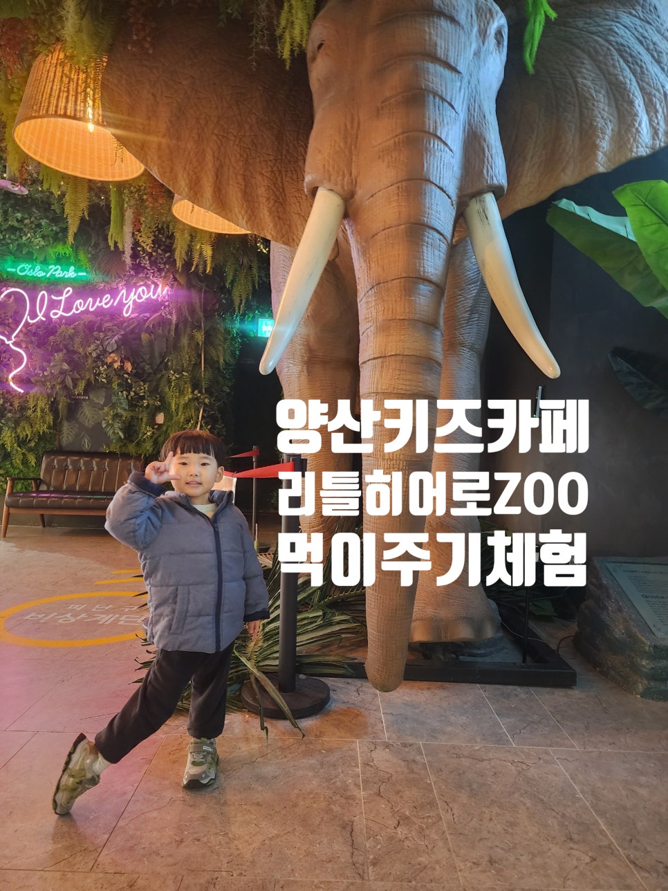 리틀히어로 ZOO 이미지
