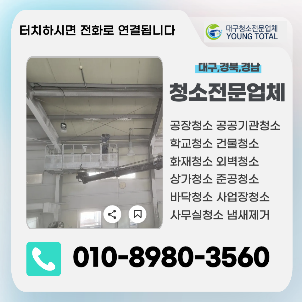 영토탈 이미지