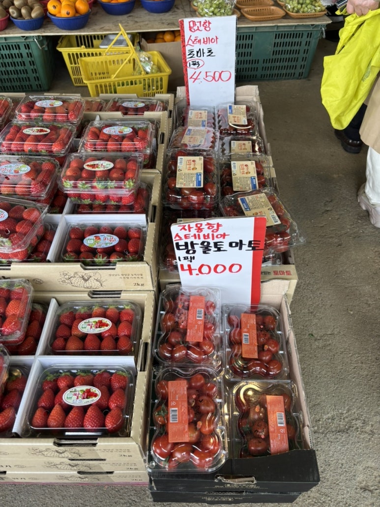 아람청과 이미지
