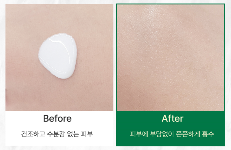 보떼벨로 이미지