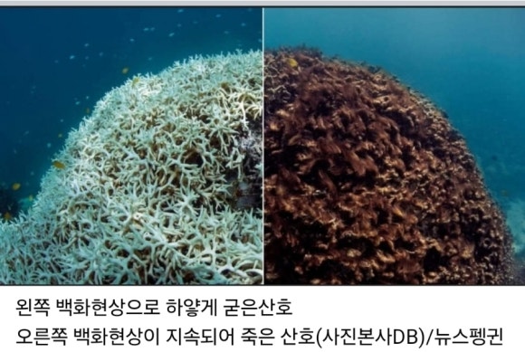 장수아로마테라피 이미지