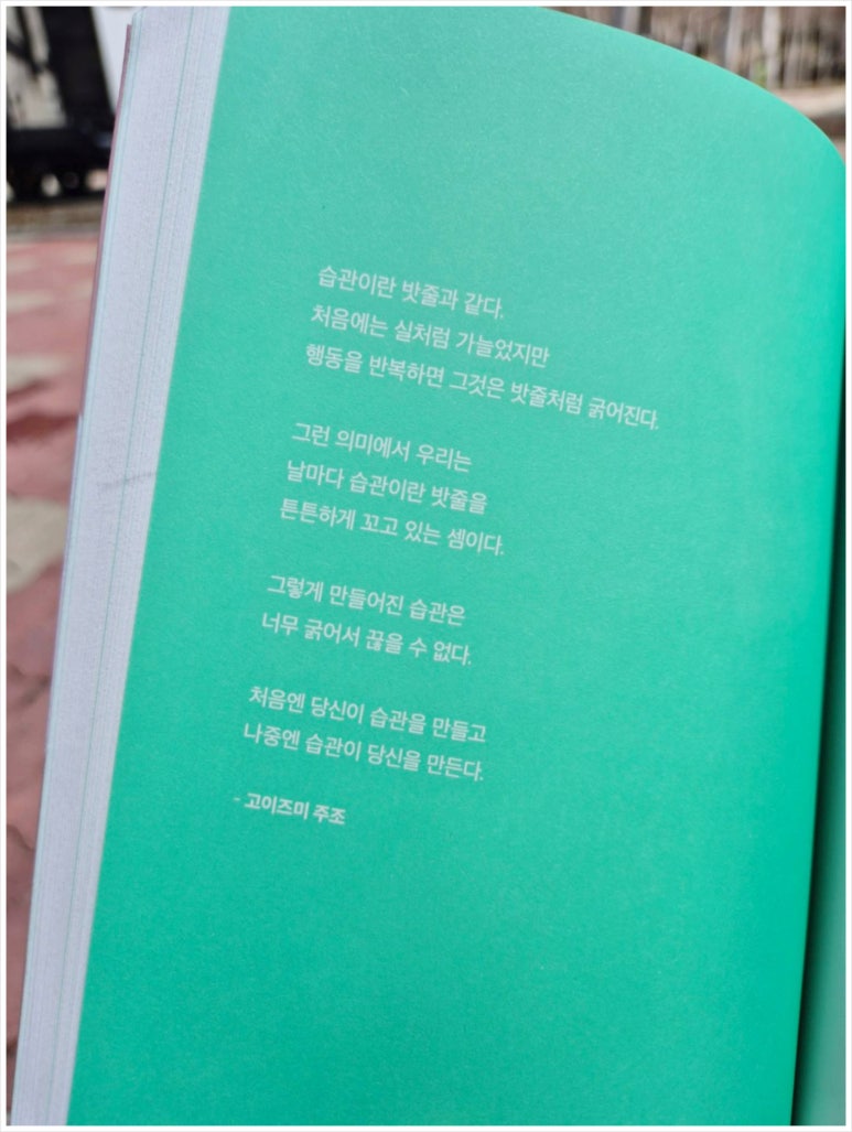 아미서가 이미지