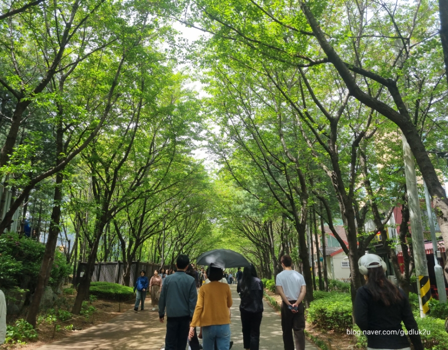 숲길 이미지