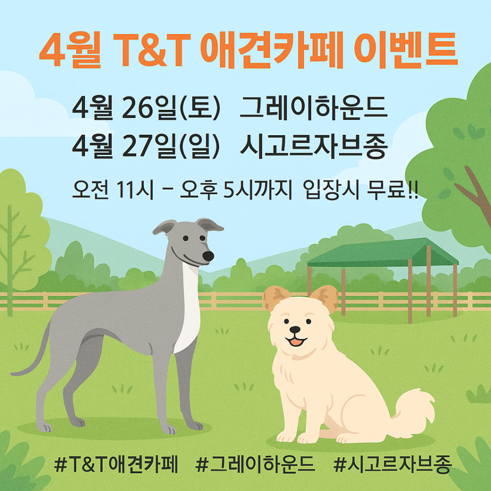 그레이하운드(주) 이미지
