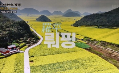 차마고원 이미지
