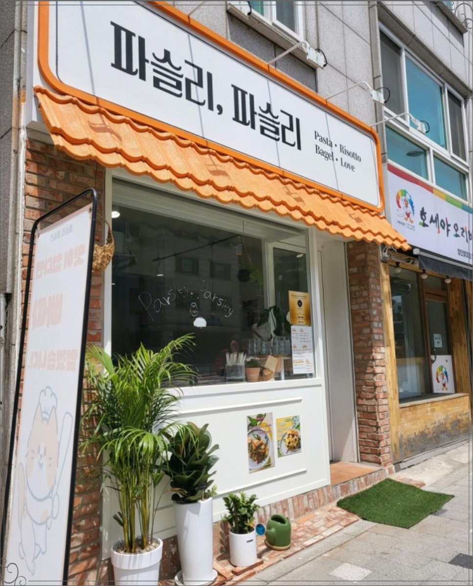 파슬리브런치 이미지