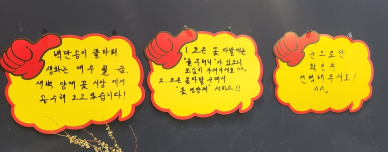 백만송이플라워 이미지