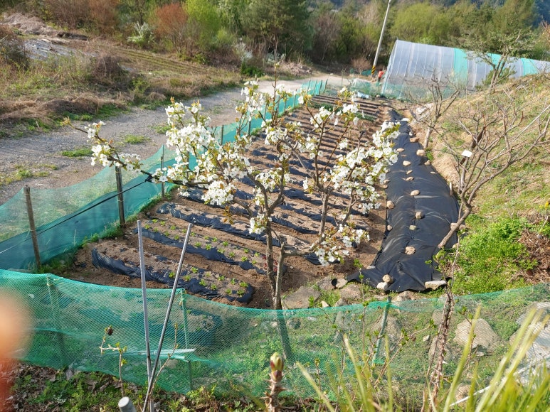 선애황토방 이미지