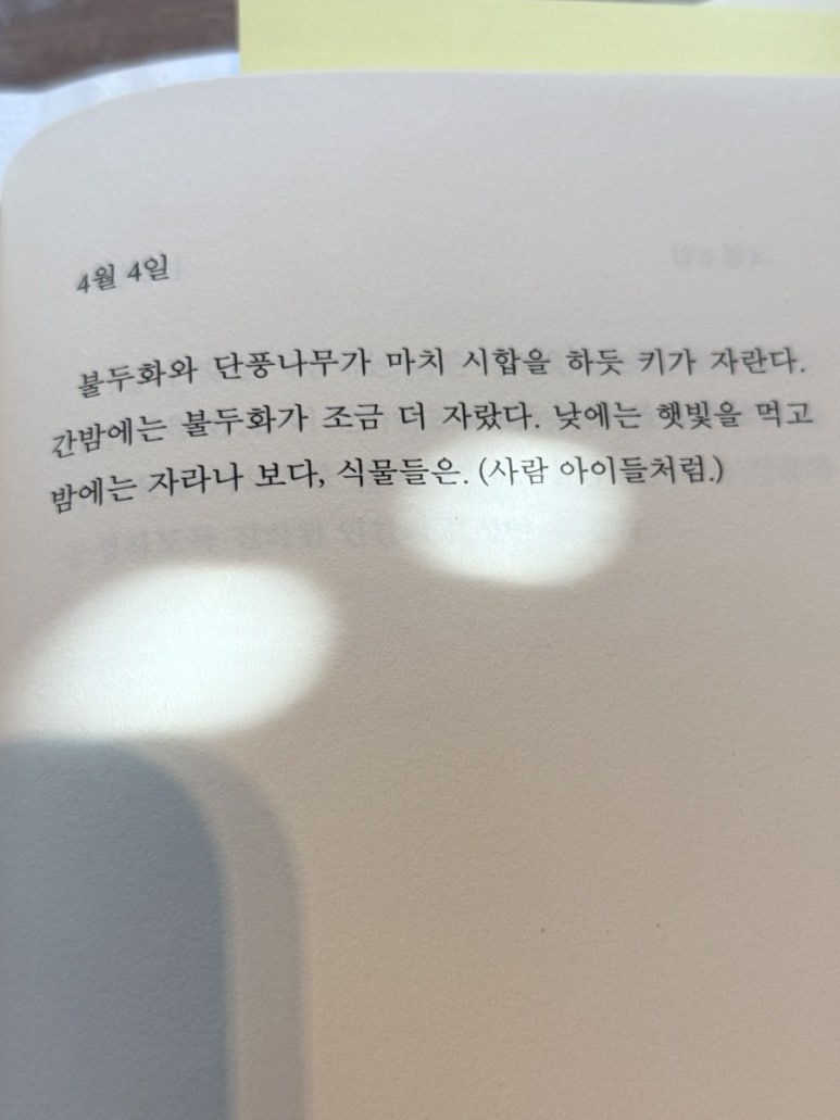 단봄 이미지