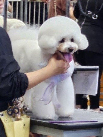 (주)로얄홀리데이 이미지