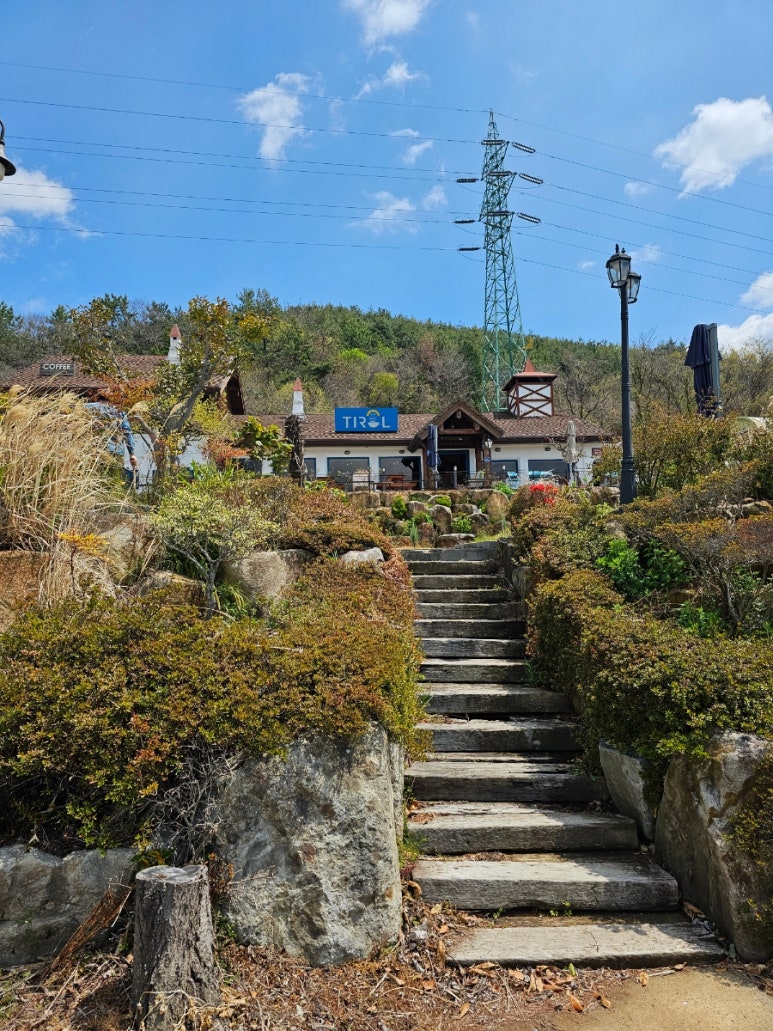 티롤978 이미지