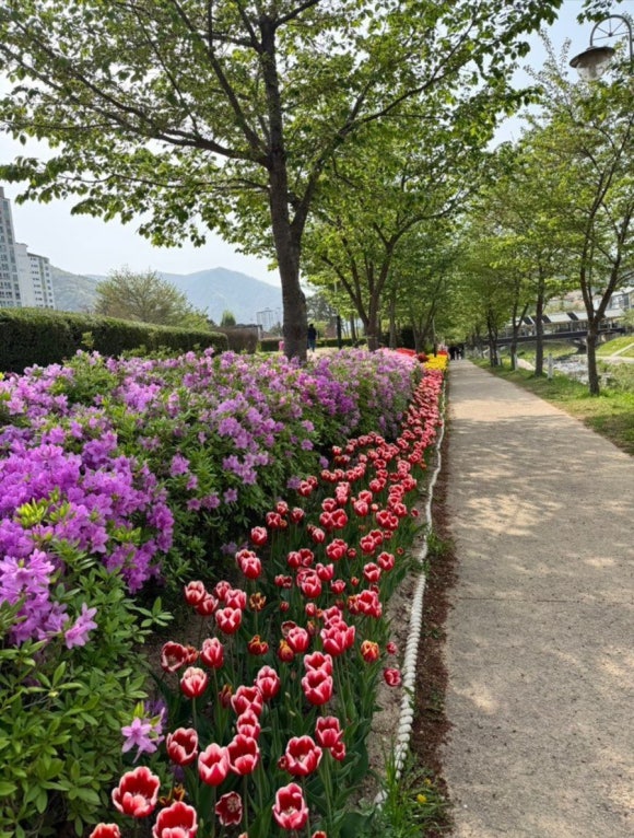 정든카츠 이미지