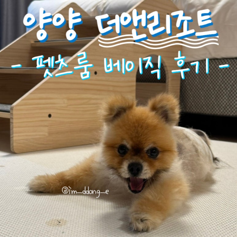 더앤 이미지