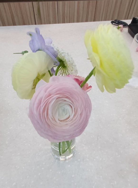 플라라레 이미지