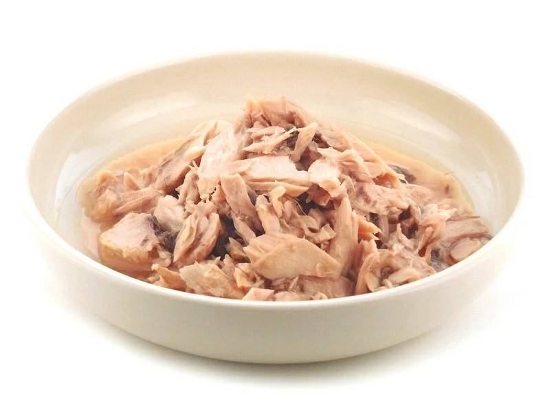 전설의참치 이미지