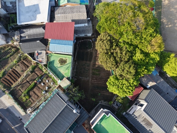 군산풍문초등학교 이미지