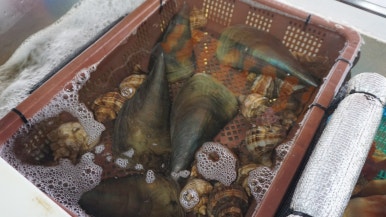 마산 해물포차 이미지
