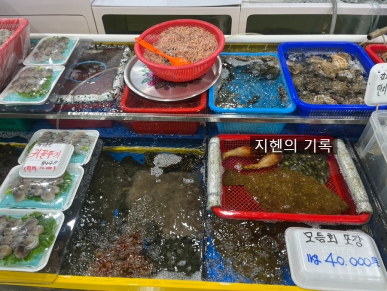 숙이네수산 이미지