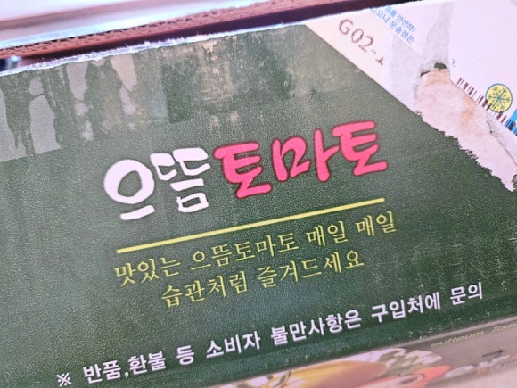 가마골보부 이미지