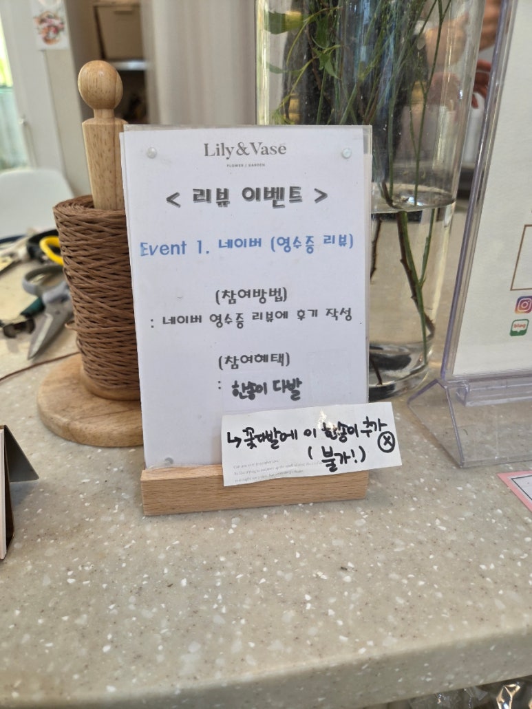 릴리앤베이스 이미지