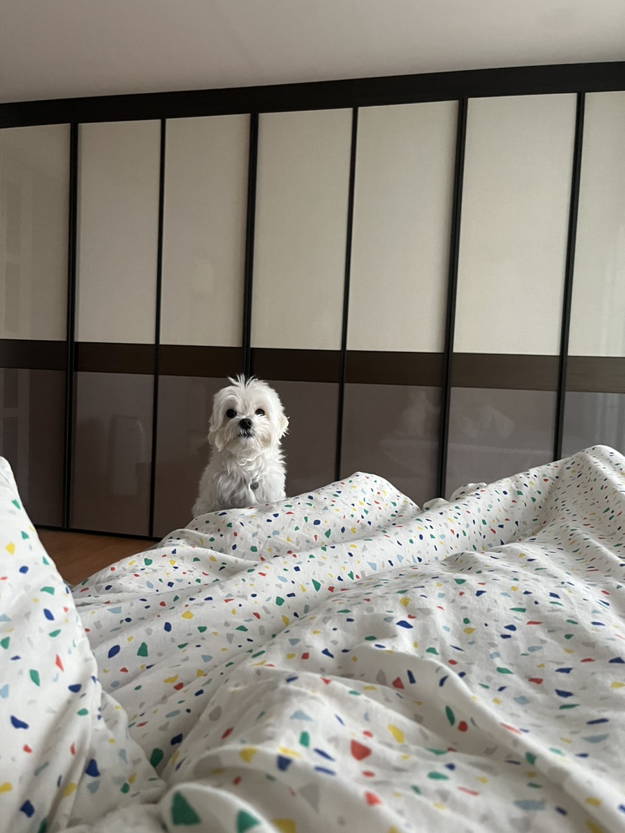 김태주선산곱창남율점 이미지