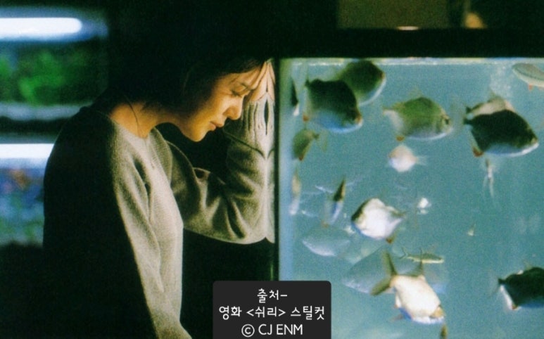 쉬리노래 이미지
